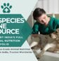 Dog Calcium Supplements