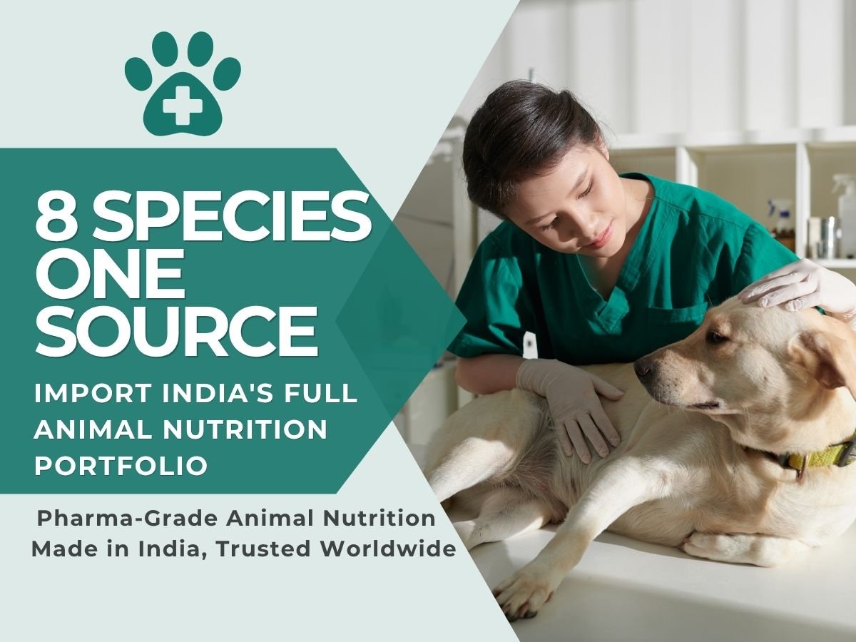 Dog Calcium Supplements