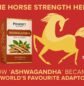 Ashwagandha supplier