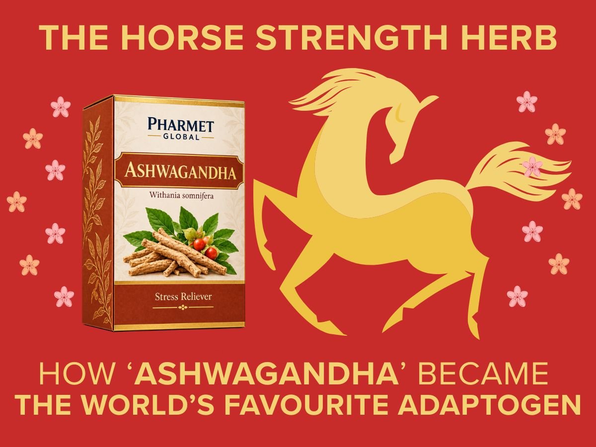 Ashwagandha supplier