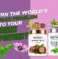 stevia distributorship