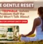 Triphala powder